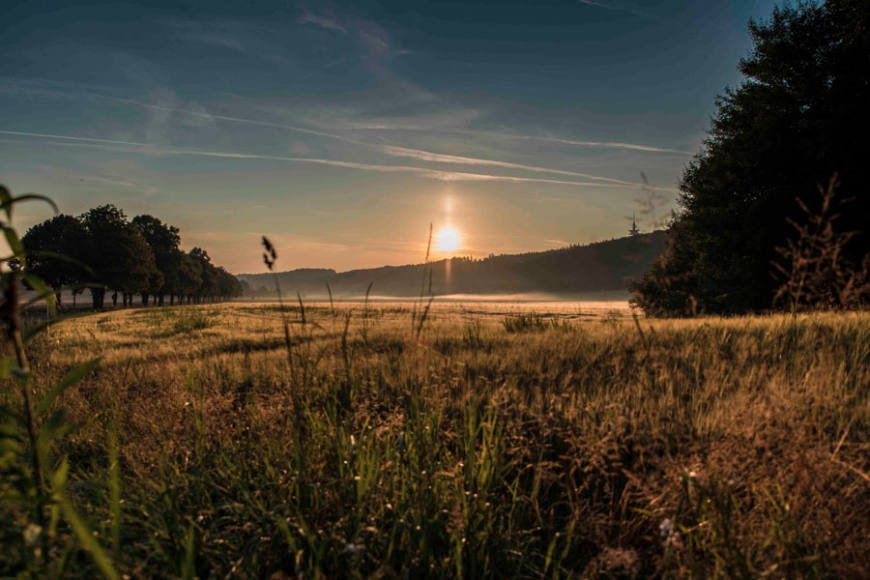 aufgehende Sonne über ein nebliges Feld