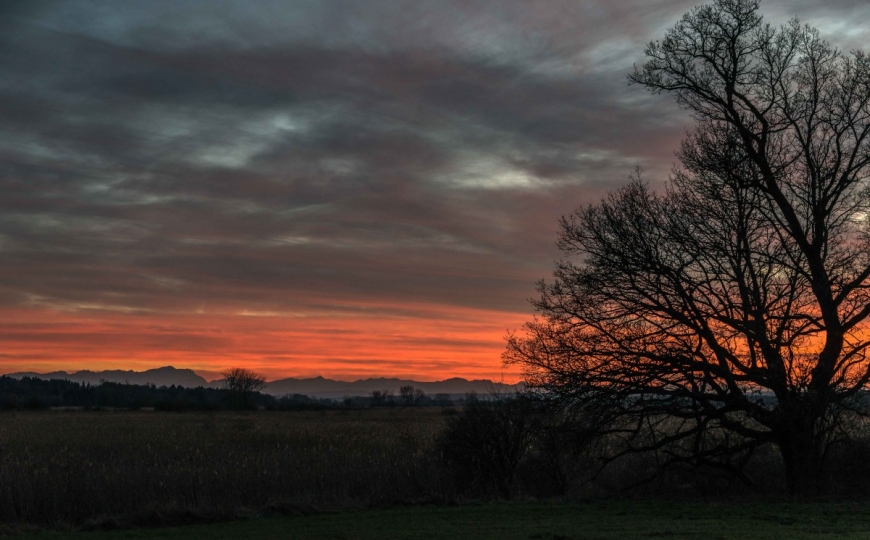 Sonnenuntergang zur Weihnachtszeit